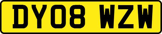 DY08WZW