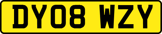 DY08WZY