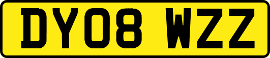 DY08WZZ