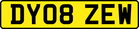 DY08ZEW