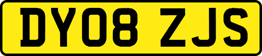 DY08ZJS