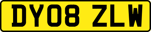 DY08ZLW