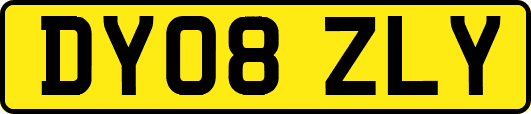 DY08ZLY