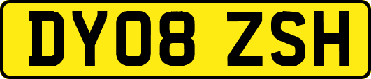 DY08ZSH