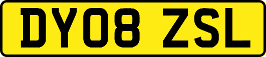 DY08ZSL