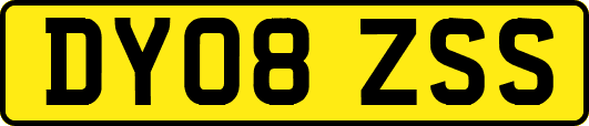 DY08ZSS