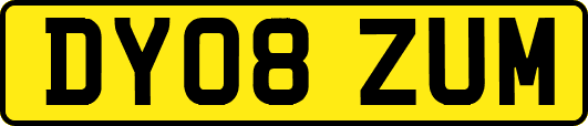 DY08ZUM