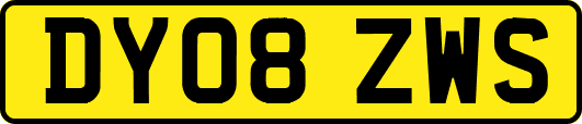 DY08ZWS