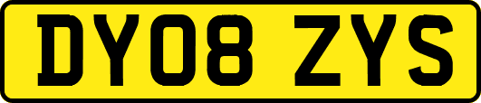 DY08ZYS