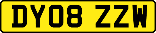 DY08ZZW