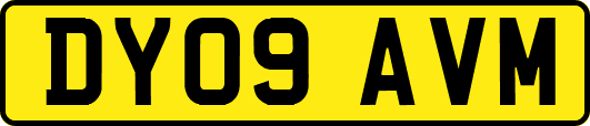 DY09AVM