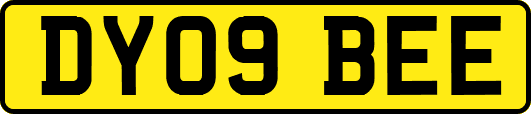DY09BEE
