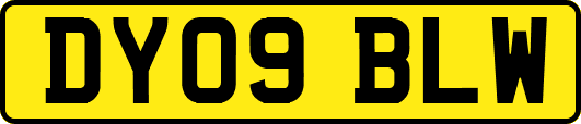 DY09BLW