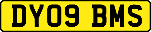 DY09BMS