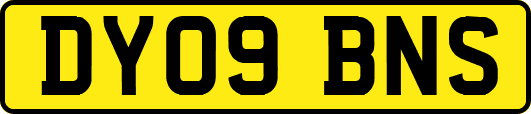 DY09BNS