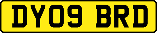 DY09BRD