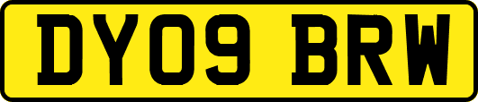 DY09BRW
