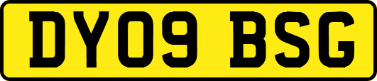 DY09BSG