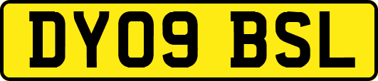 DY09BSL