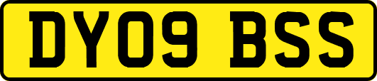 DY09BSS