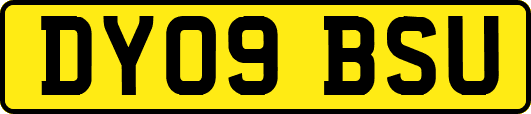 DY09BSU