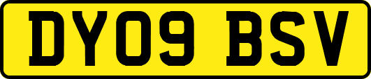 DY09BSV