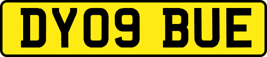 DY09BUE