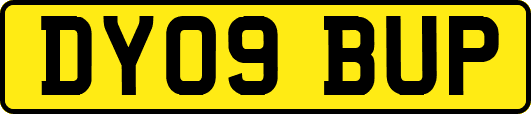 DY09BUP