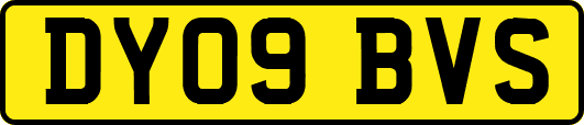 DY09BVS