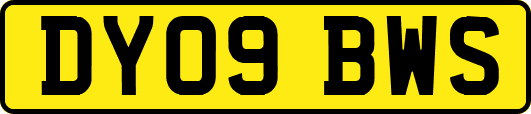 DY09BWS
