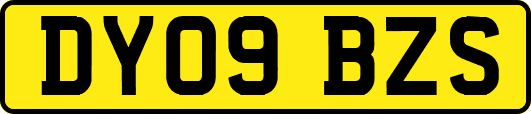 DY09BZS