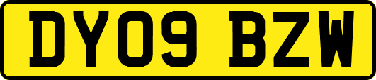 DY09BZW