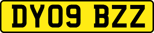 DY09BZZ