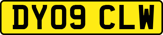 DY09CLW