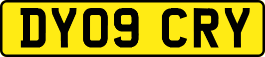 DY09CRY