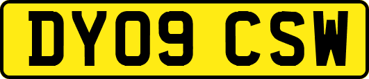 DY09CSW