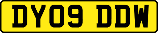 DY09DDW
