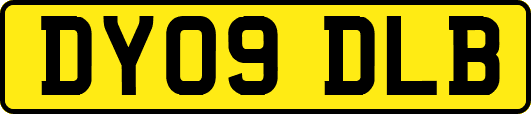 DY09DLB