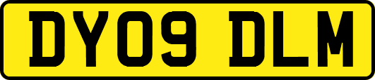 DY09DLM
