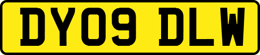 DY09DLW