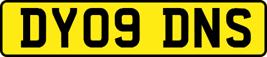 DY09DNS