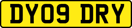 DY09DRY