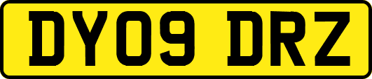 DY09DRZ