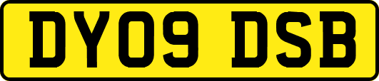 DY09DSB