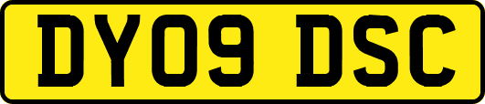 DY09DSC