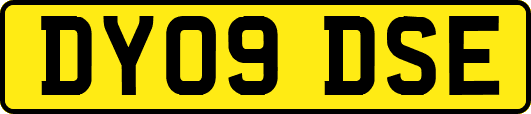 DY09DSE