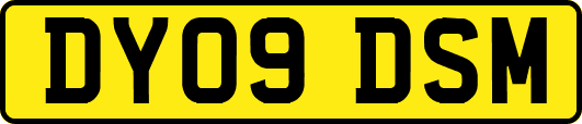 DY09DSM
