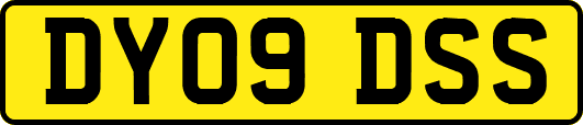 DY09DSS