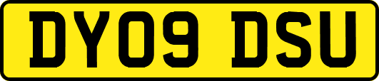 DY09DSU