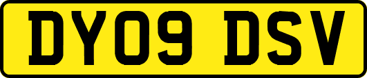 DY09DSV